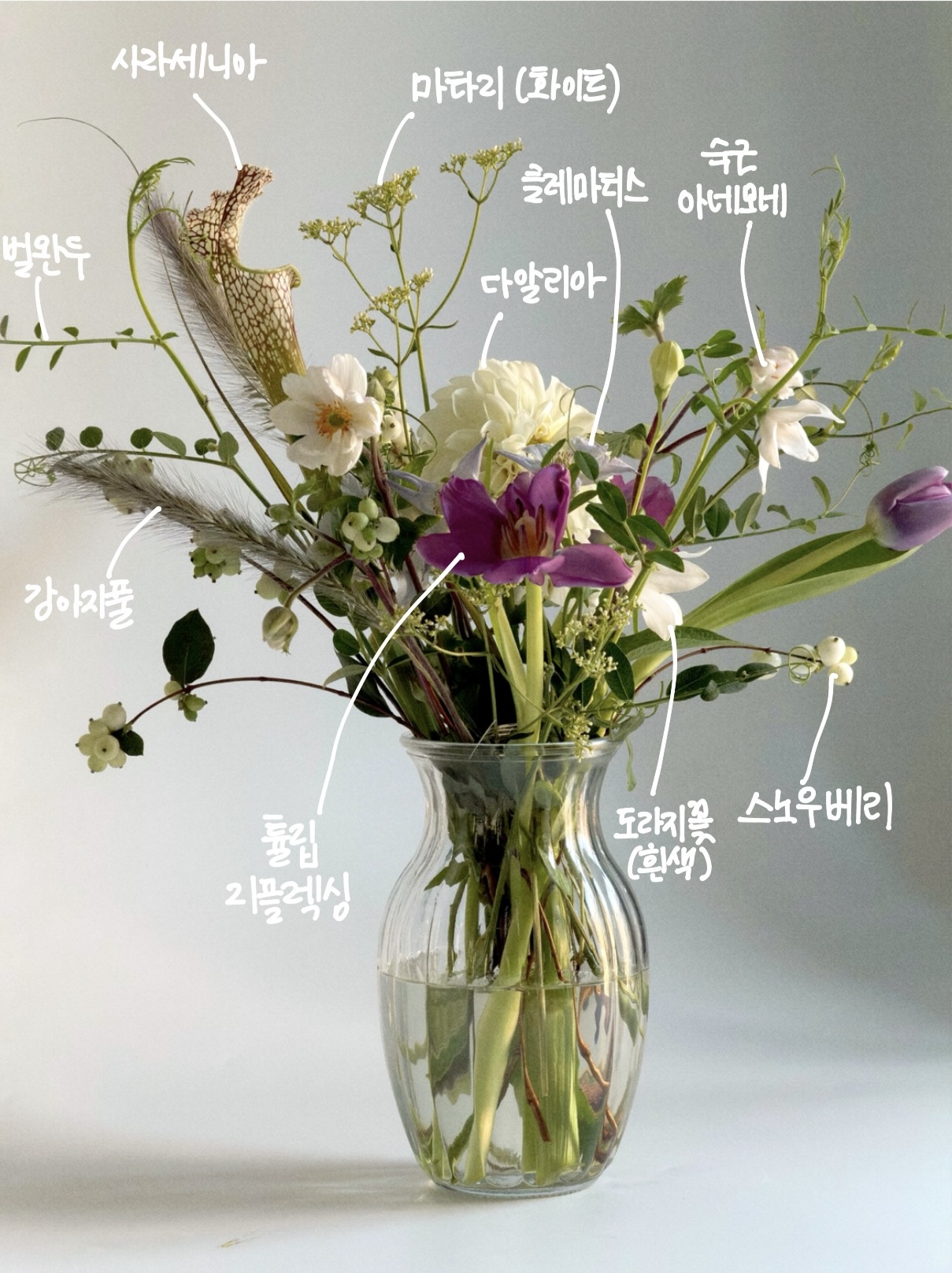 Floral and garden study 02