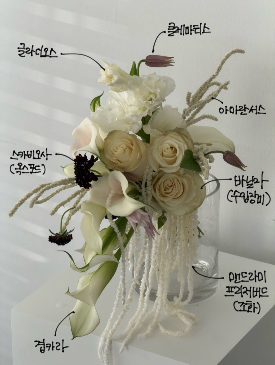 Floral and garden study 05