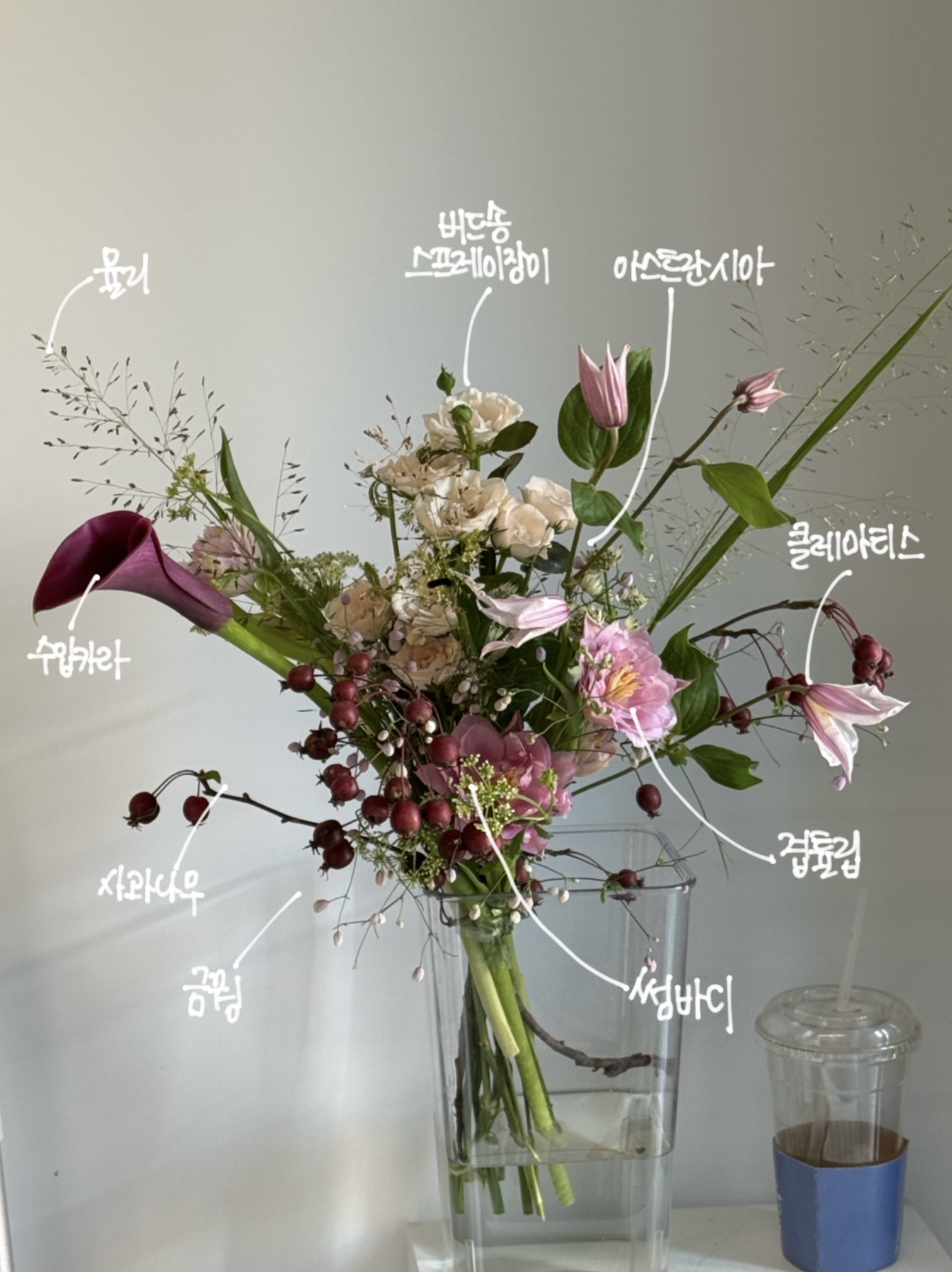 Floral and garden study 01