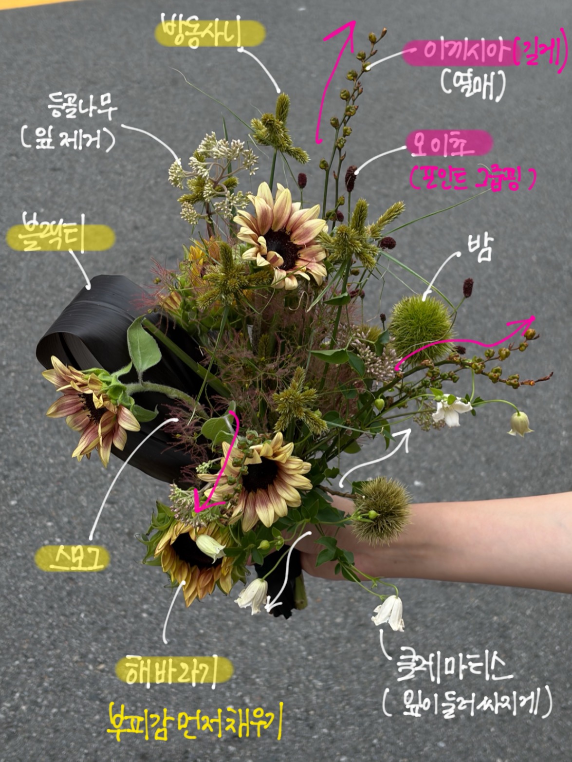 Floral and garden study 04