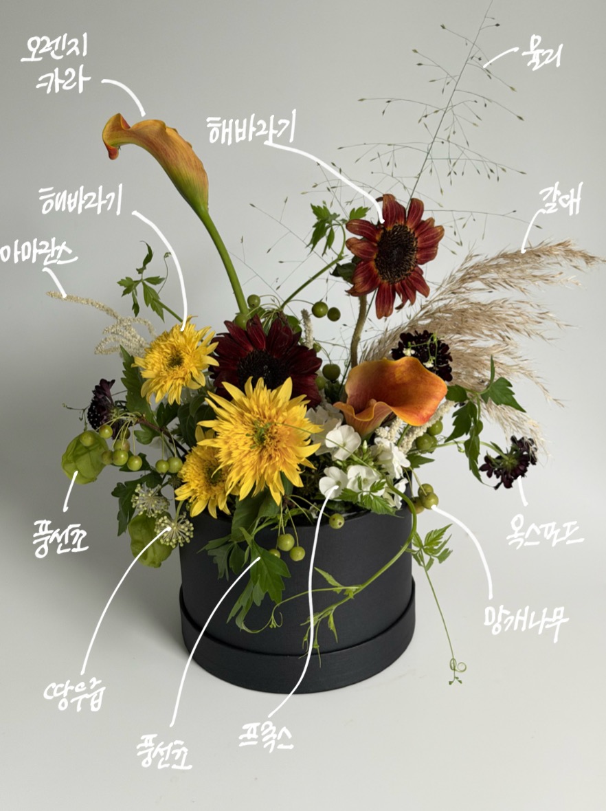 Floral study 07: sunflower and calla arrangement with handwritten plant labels